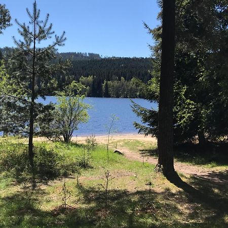 Rodinne Ubytovani Krauskopfovi Lipno nad Vltavou Bagian luar foto